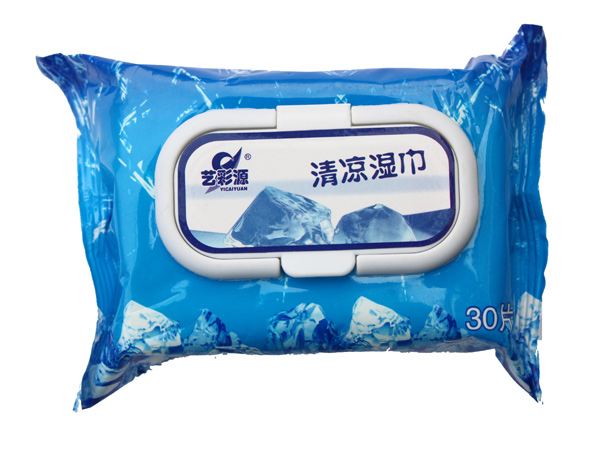 藝彩源清涼濕巾