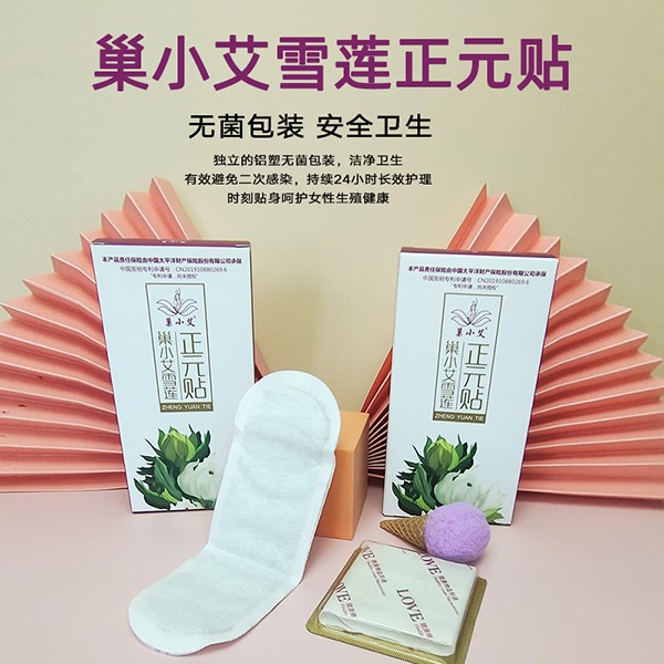 巢小艾雪蓮正元貼 24貼裝 (5)