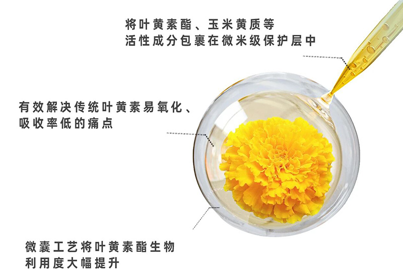 微信圖片_2025-09-04_104231_857.jpg 微信圖片_2025-09-04_104231_857.jpg