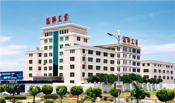 汕頭市猛獅工藝玩具公司