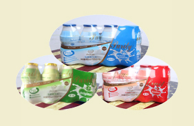 小叮鈴乳酸菌系列