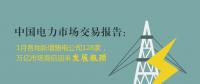 中國電力市場交易報告：1月各地新增售電公司128家，萬億市場背后迎來發(fā)展瓶頸