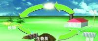 生物質(zhì)是替代核電、火電 彌補(bǔ)天然氣缺口的一種重要新能源