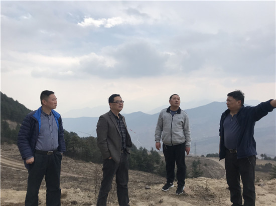 蘭樹林檢察長實地調研協(xié)調解決清溪風電建設遺留問題