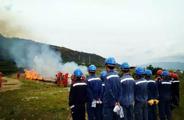 聽說最近輸電線路和鐵塔“火”啦！