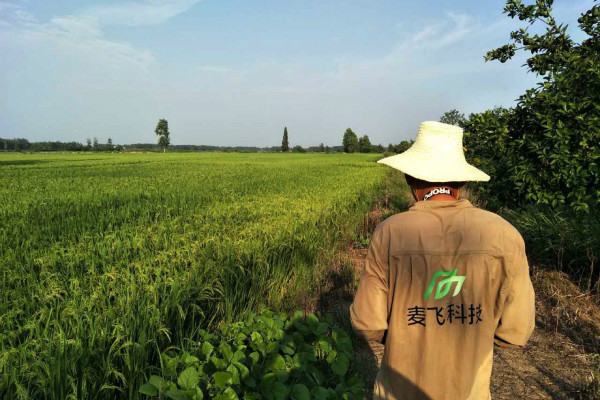 “AI+遙感”覬覦萬(wàn)億級(jí)智慧農(nóng)業(yè)市場(chǎng)，這次沒(méi)有中間商賺差價(jià) 