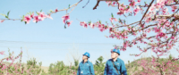 世界一流能源互聯(lián)網(wǎng)企業(yè)怎么建？國網(wǎng)已簽訂39個增量配電試點項目合作意向書