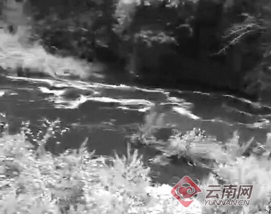 云南麗江部分水體變黑臭并有牲畜尸體，環(huán)保局：水閘放水引起