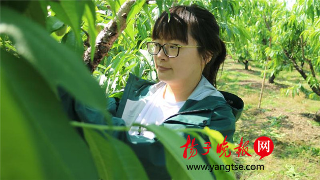 一個“80”后研究生的“綠色農(nóng)業(yè)夢”：用“互聯(lián)網(wǎng)+”思維做農(nóng)業(yè)，新型職業(yè)農(nóng)民“潮”起來