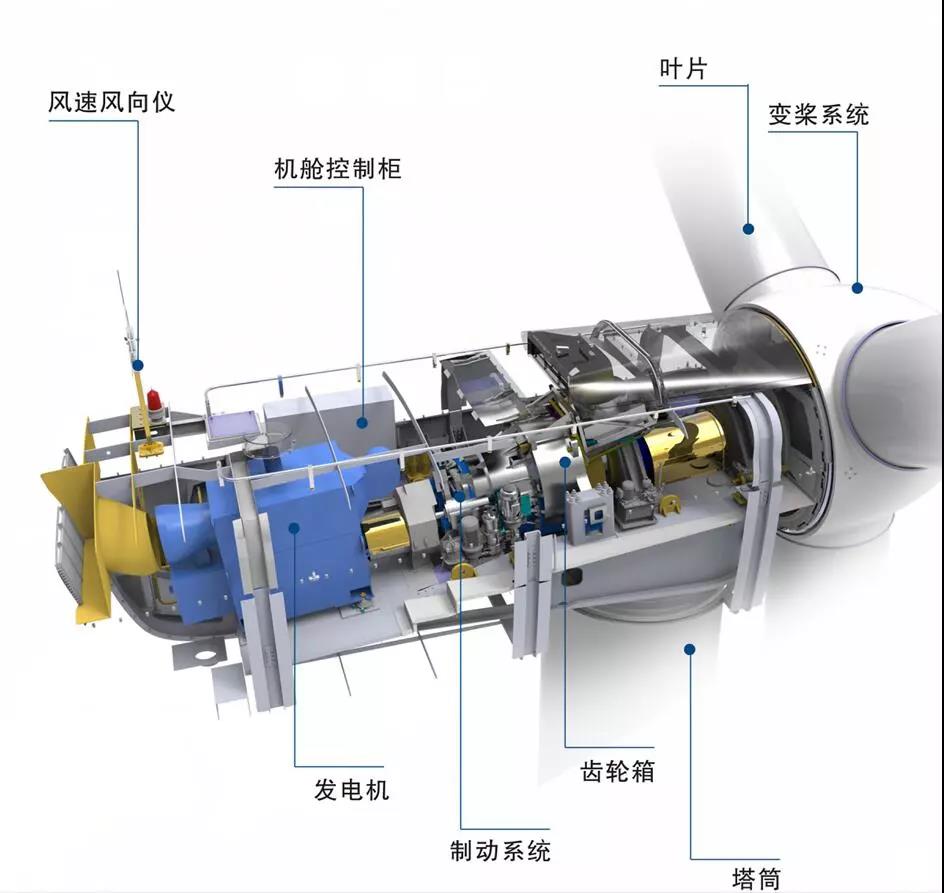 漲知識！海上風電場是怎么建成的？