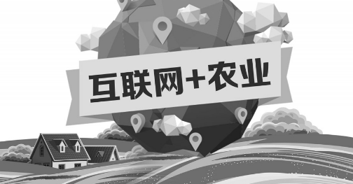 A5創(chuàng)業(yè)項(xiàng)目推薦：互聯(lián)網(wǎng)+農(nóng)業(yè)能碰撞出怎樣的新發(fā)展？