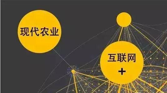 顛覆！裂變！賦能！互聯(lián)網(wǎng)+農業(yè)領域的“豬飛起來了”