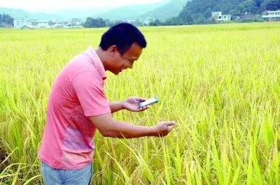 國務院常務會議鼓勵的“互聯(lián)網+農業(yè)”創(chuàng)新手段，幫你找到了案例