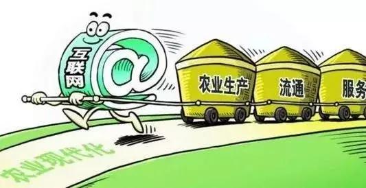 2018年農村電商巨頭卡位戰(zhàn)：互聯(lián)網+農業(yè)新玩法！