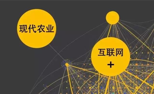 如何用“互聯(lián)網+”重塑農業(yè)競爭優(yōu)勢？