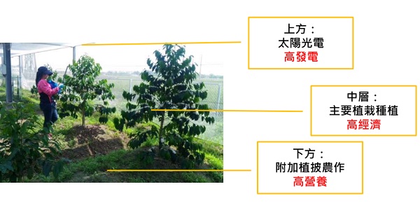 后補貼時代 “架高、一地多用”助力光伏平價上網(wǎng)