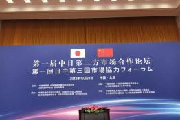 安倍晉三訪華 協(xié)鑫、天合和晶科為光伏行業(yè)長臉了！