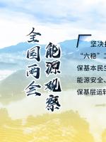 讀圖｜2020政府工作報(bào)告中這些內(nèi)容，和能源電力有關(guān)！