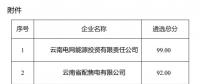 2025年云南電力市場保底售電公司候選名單公示！